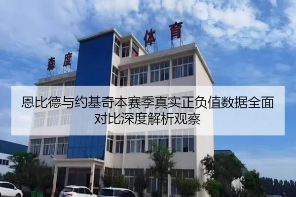 恩比德与约基奇本赛季真实正负值数据全面对比深度解析观察